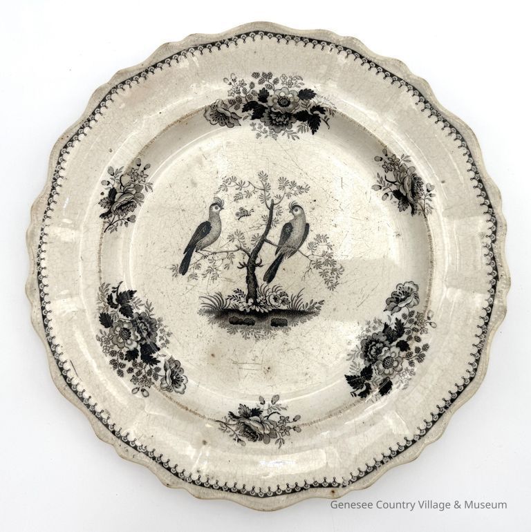Dinner Plate