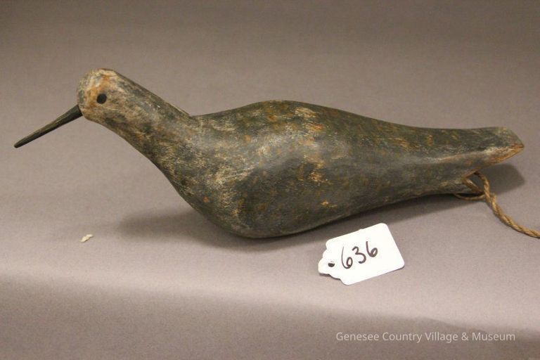 Golden Plover - Image 3