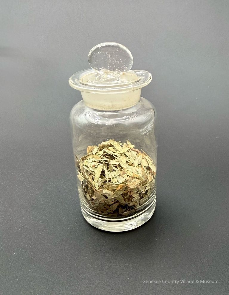 Apothecary Bottle