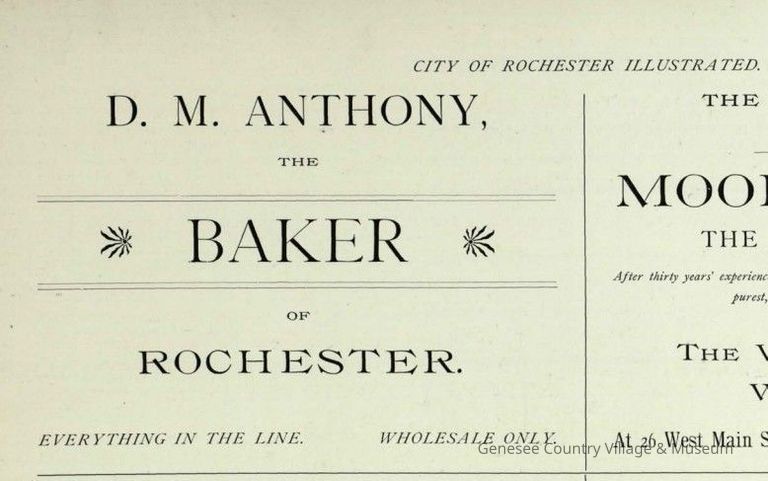 1890 City of Rochester Illustrated
