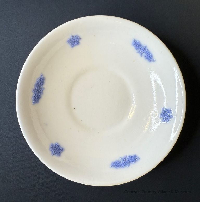 Saucer