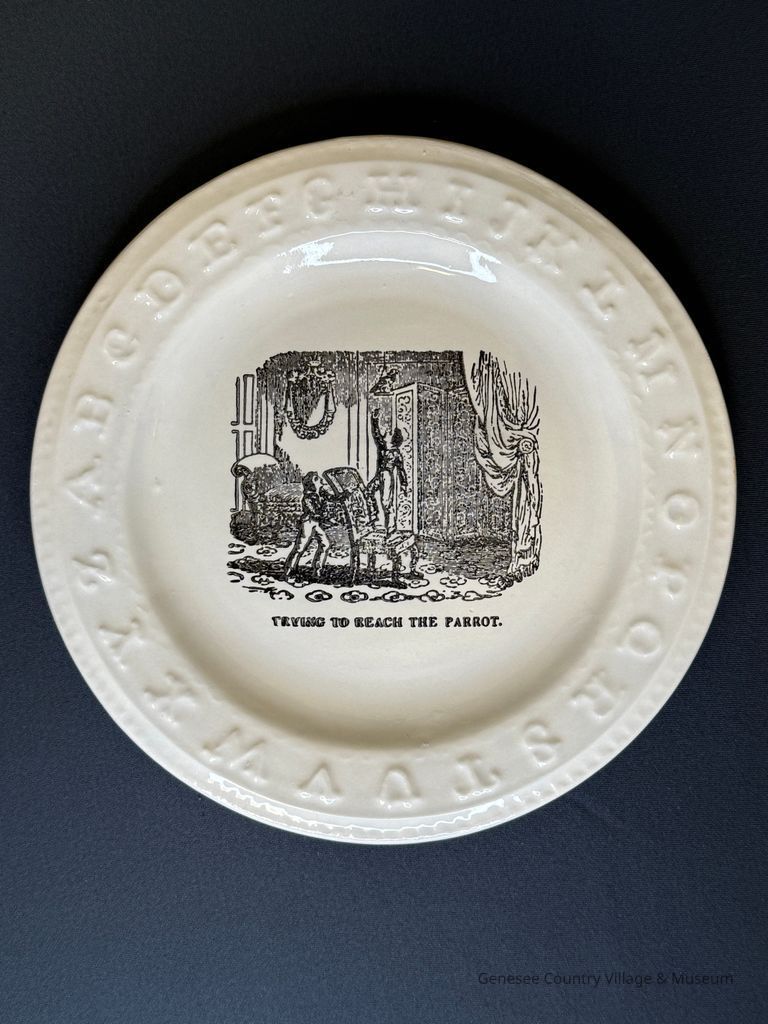 Saucer