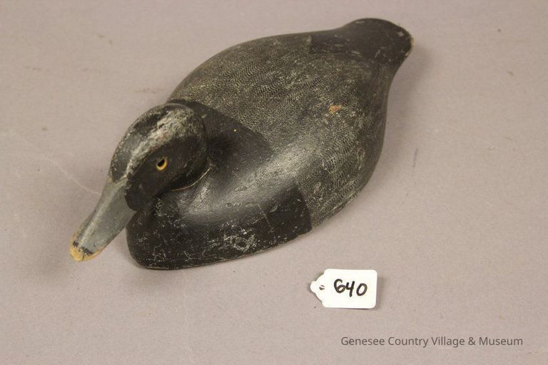Hollow Bluebill Drake - Image 3