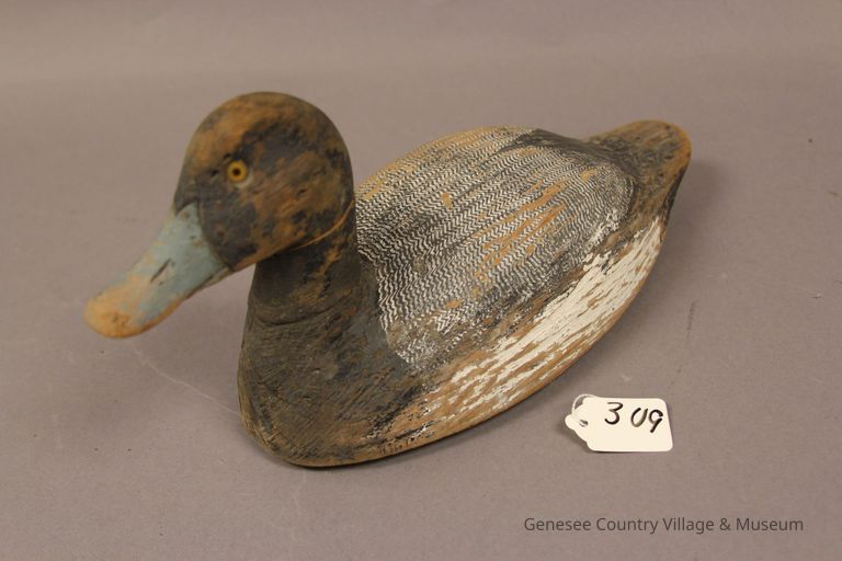 Decoy
