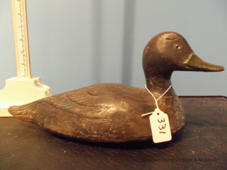 Black Duck - Image 2