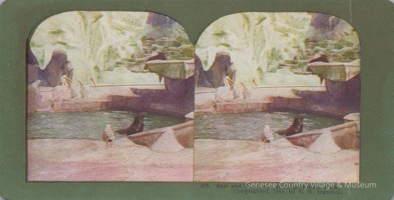 Stereograph