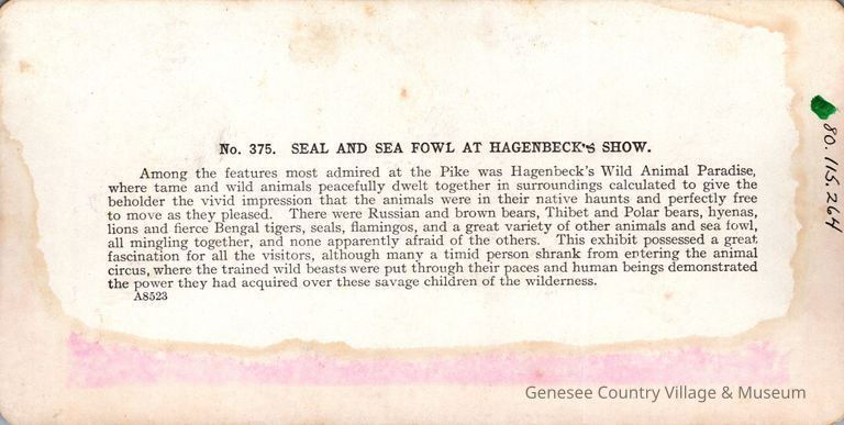 Stereograph - Image 2