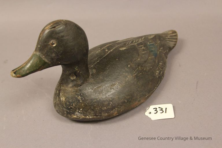 Black Duck