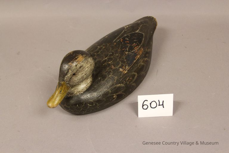 Black Duck