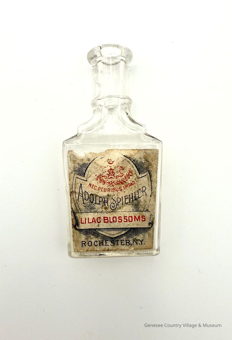 Perfume Bottle