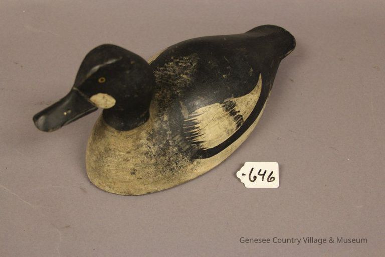 Goldeneye Drake - Image 3