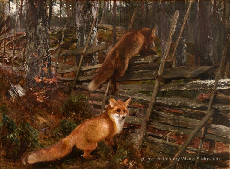 The Foxes