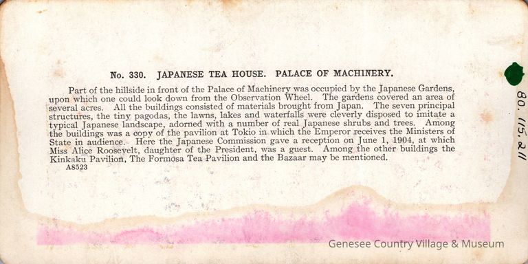 Stereograph - Image 2