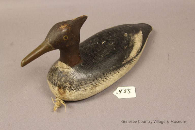 Merganser