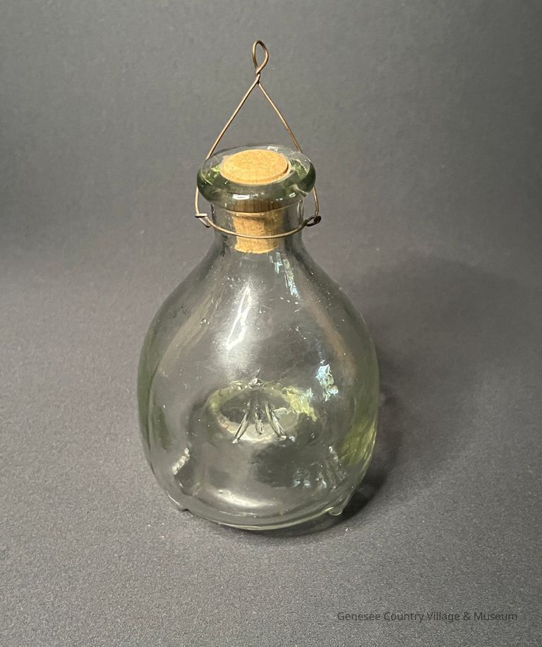 Fly Catcher
