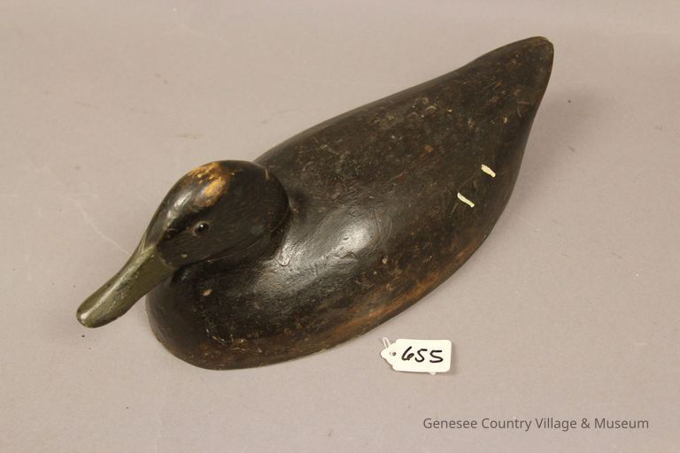 Hollow lowhead Black Duck