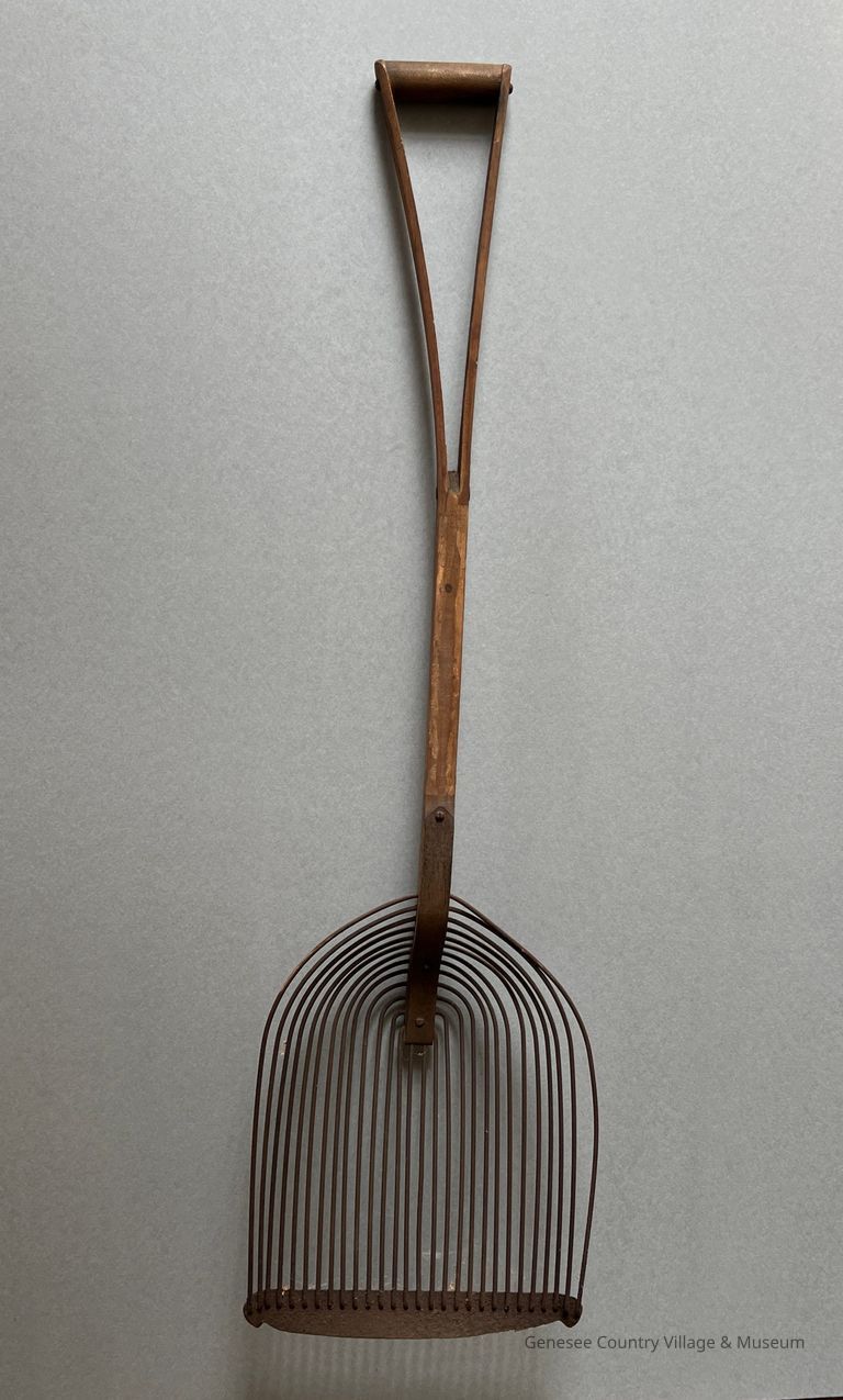 Potato Harvesting Scoop