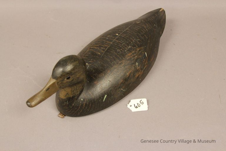Black Duck