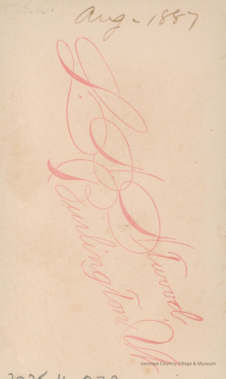 Carte de Visite - Image 2