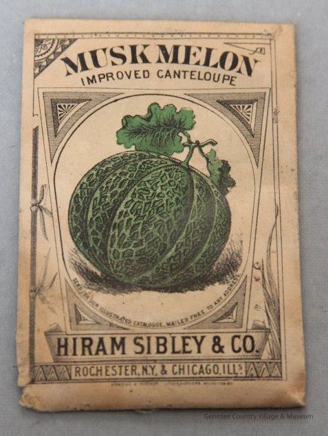 Seed Packet, Musk Melon