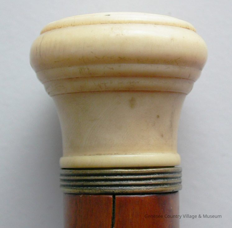 Walking Stick