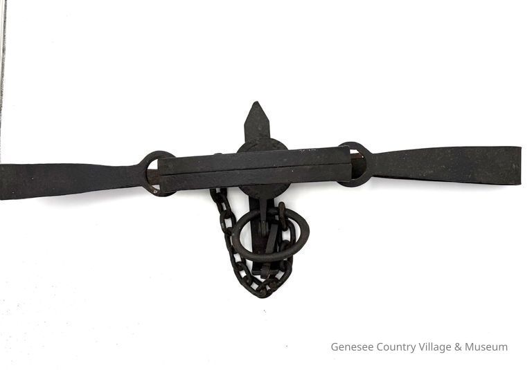 Bear Trap - Image 2