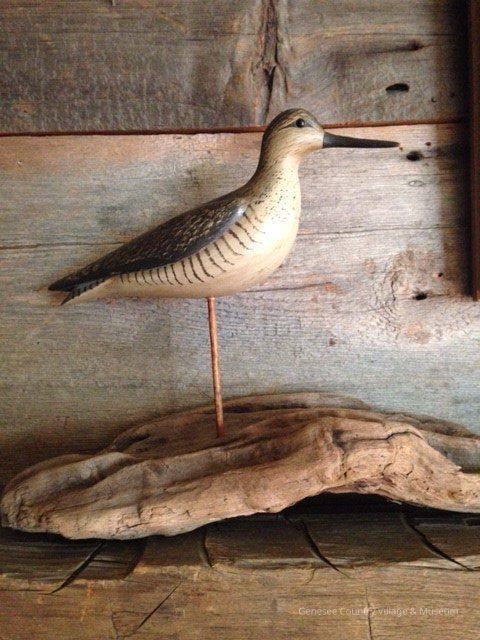 Yellowlegs