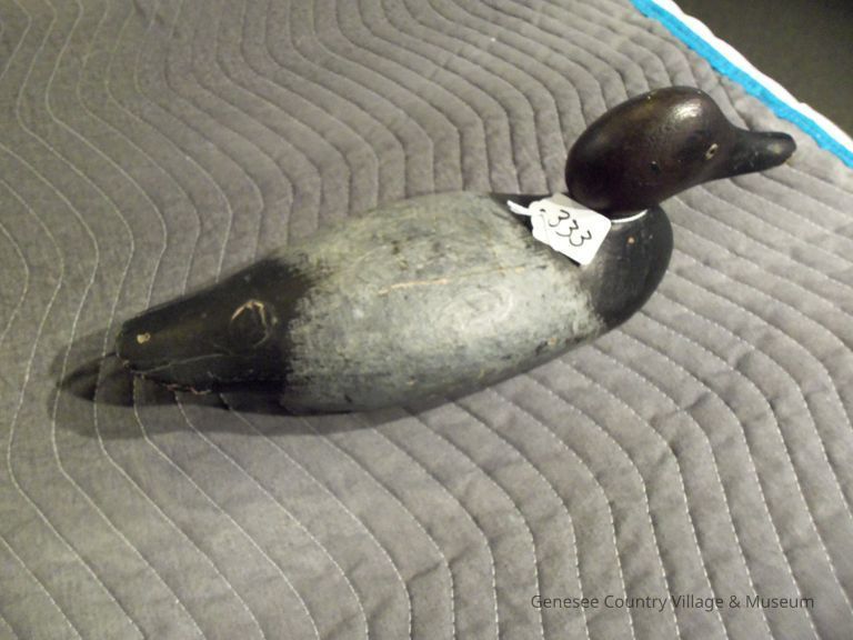 The Mason Canvasback