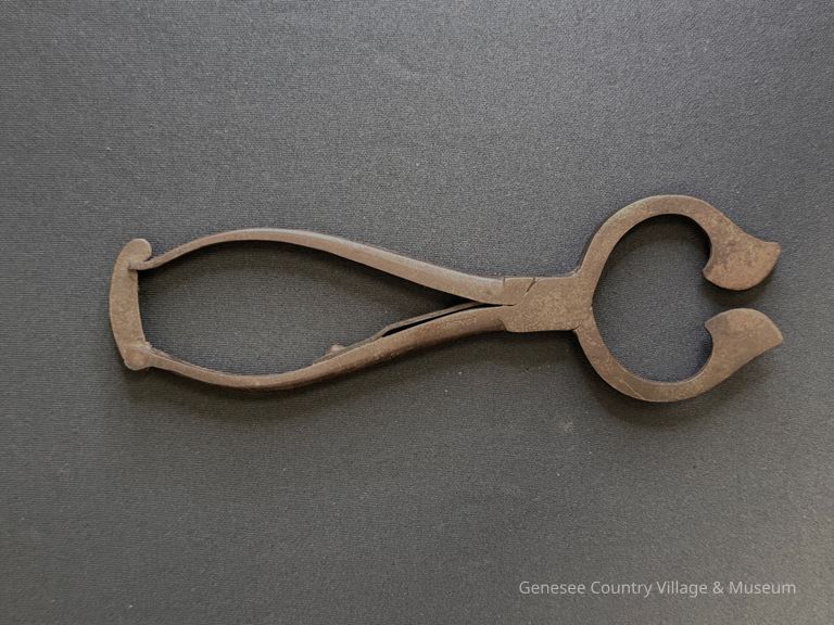 Sugar Cutter