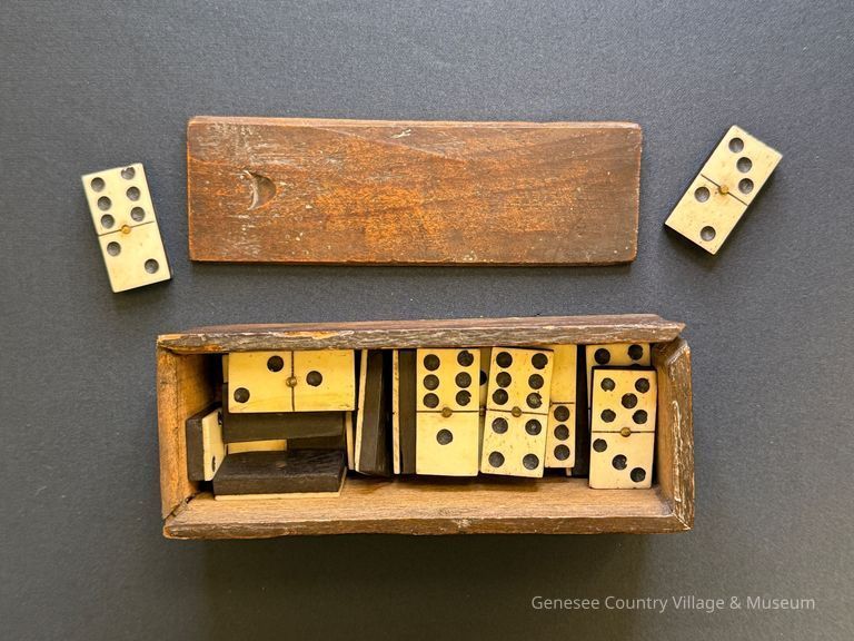 Dominos with Case