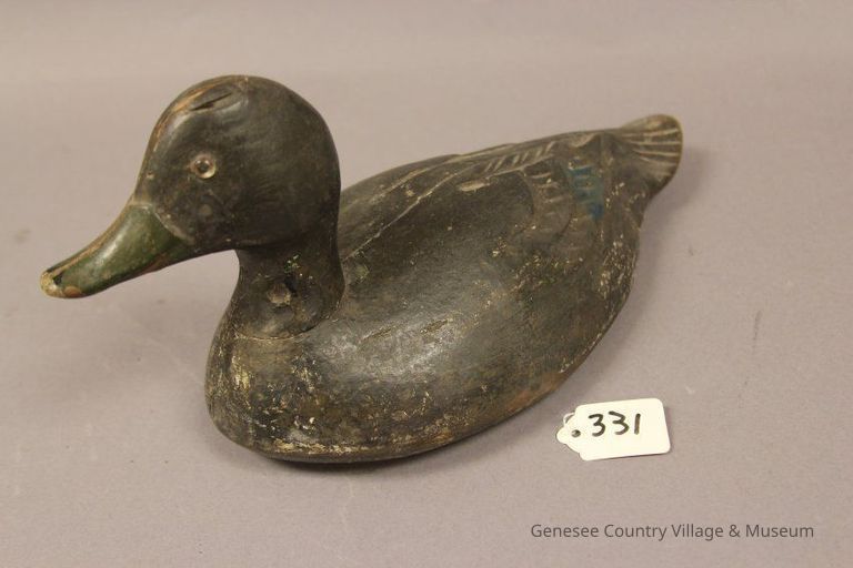 Black Duck - Image 3