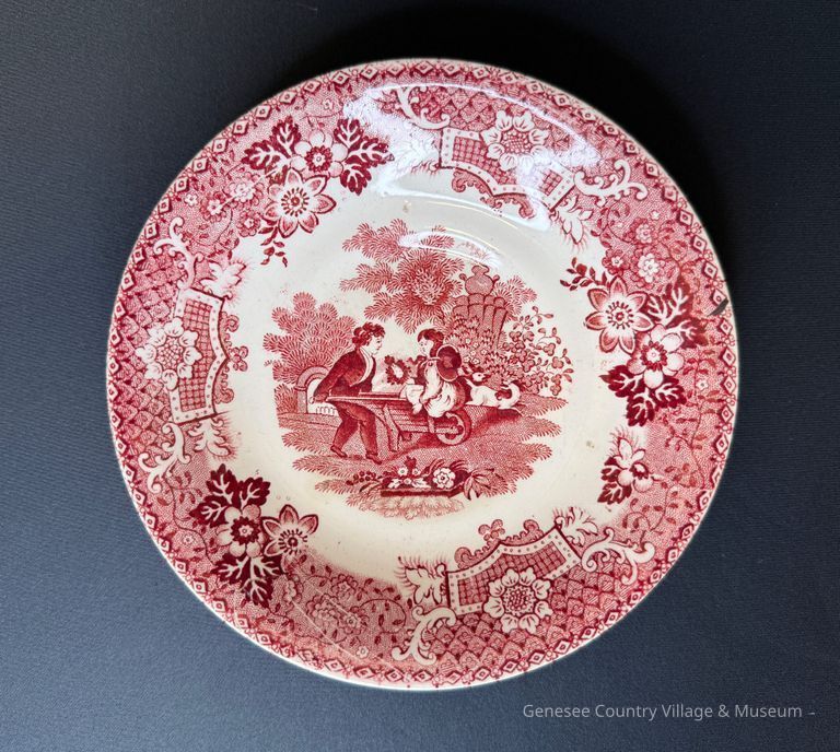 Saucer