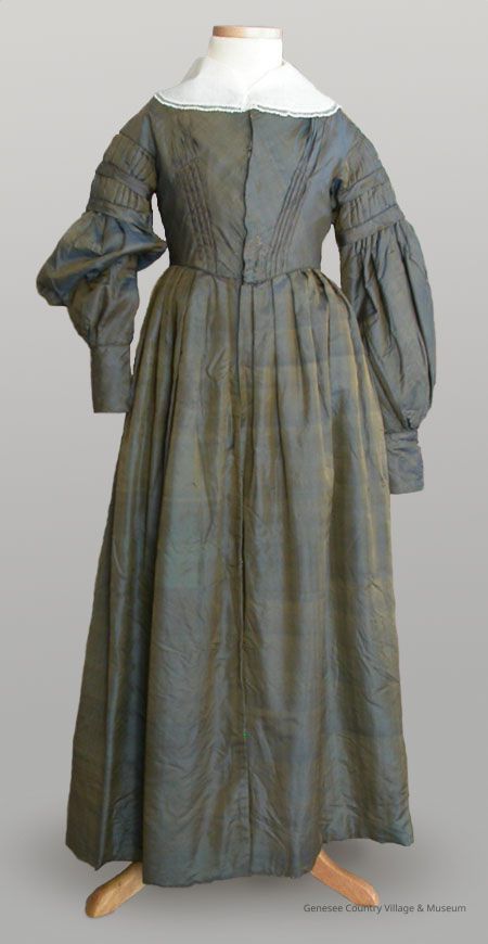Pelisse