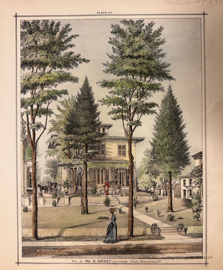 Lithograph of Rochester Houses