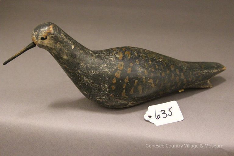 Golden Plover - Image 3