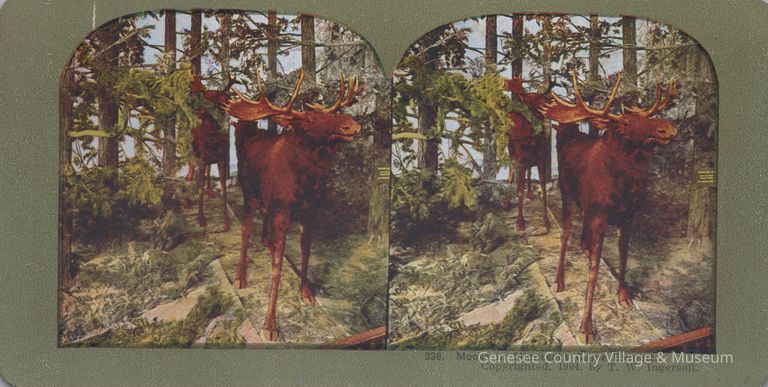 Stereograph