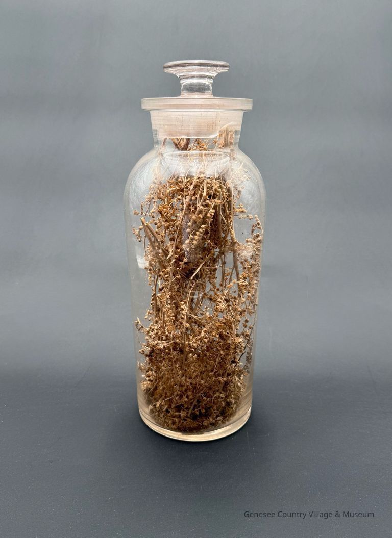 Apothecary Bottle