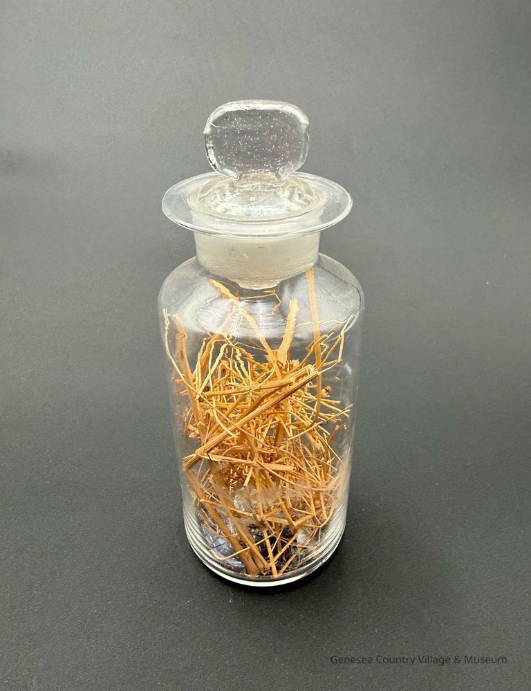 Apothecary Bottle
