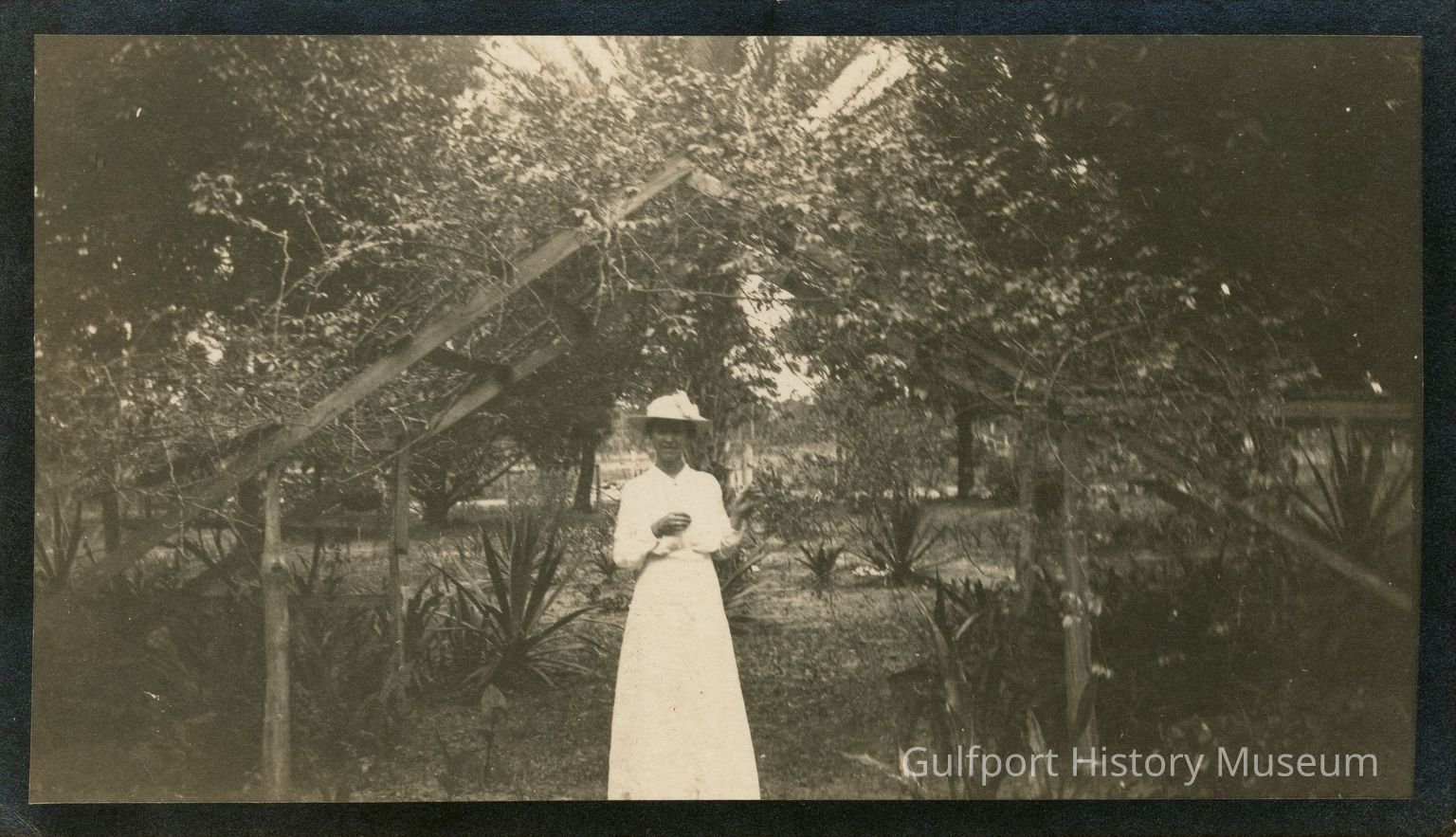 Robin Whitbeck Perkins Collection