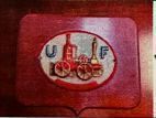 United Fireman's Insurance Company Wooden Fire Marker picture number 1