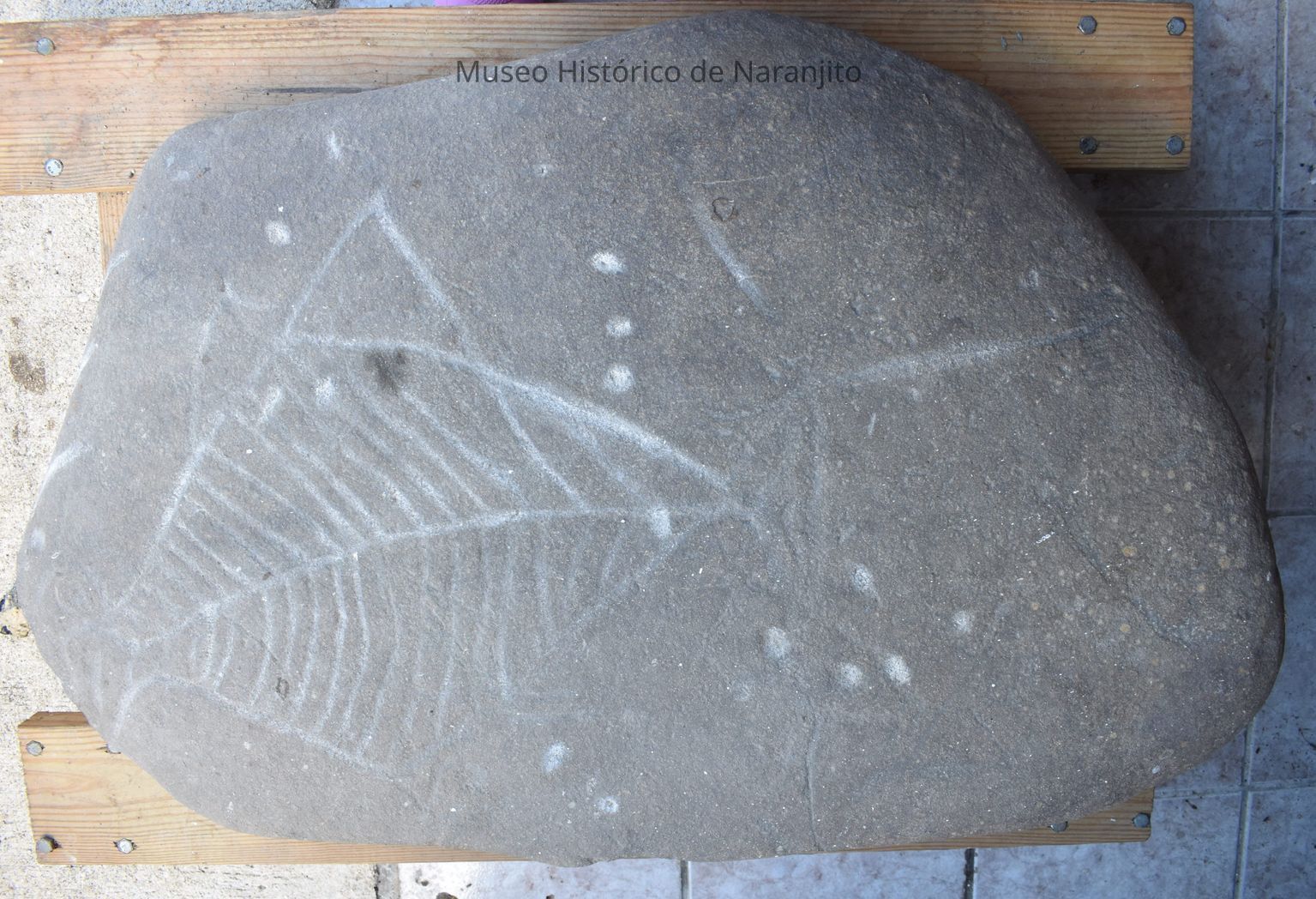 Colección Arqueológica Alfredo Morales Román