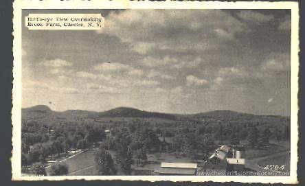 Sugar Loaf