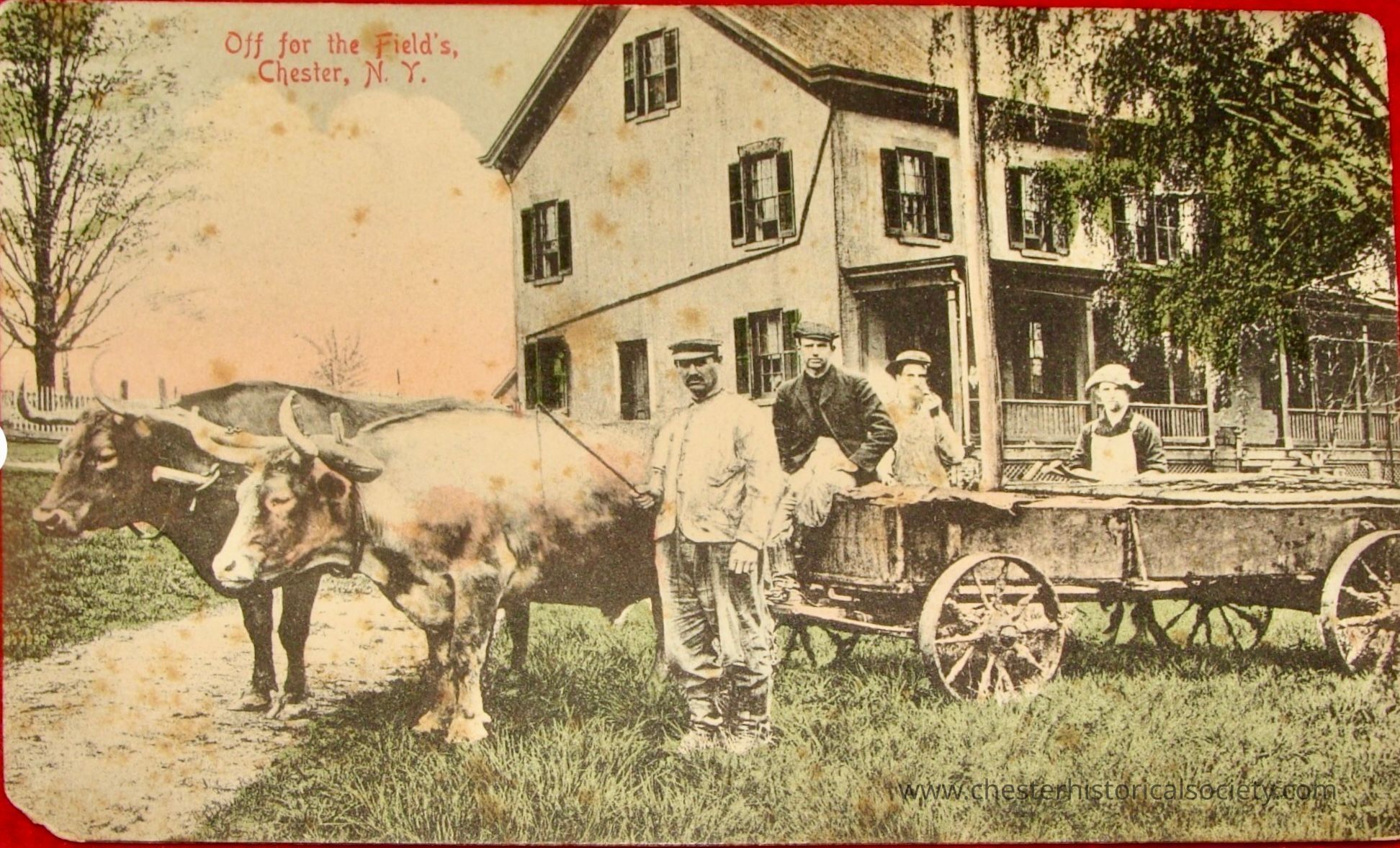 The image depicts a vintage scene titled "Off for the Field's, Chester, N.Y." showing a group of men gathered around an ox-drawn wagon in front of a two-story house under the clear sky. The wagon is loaded with wooden planks, and several men, dressed in traditional work attire and hats, are either seated or standing near it, exuding a sense of readiness for a day of labor. The building behind them features multiple windows, dark shutters, and a porch, partially covered by a tree's branches. The foreground shows lush green grass, while the background reveals bare trees, contributing to the pastoral atmosphere of the scene. Under the gentle warmth of the daylight, the simplicity and perseverance of early 20th-century rural life unfold in this picturesque depiction, capturing a moment in time where community effort and reliance on animal power were integral to daily existence. The overall sepia tone of the image adds an element of nostalgia, emphasizing the historical context.