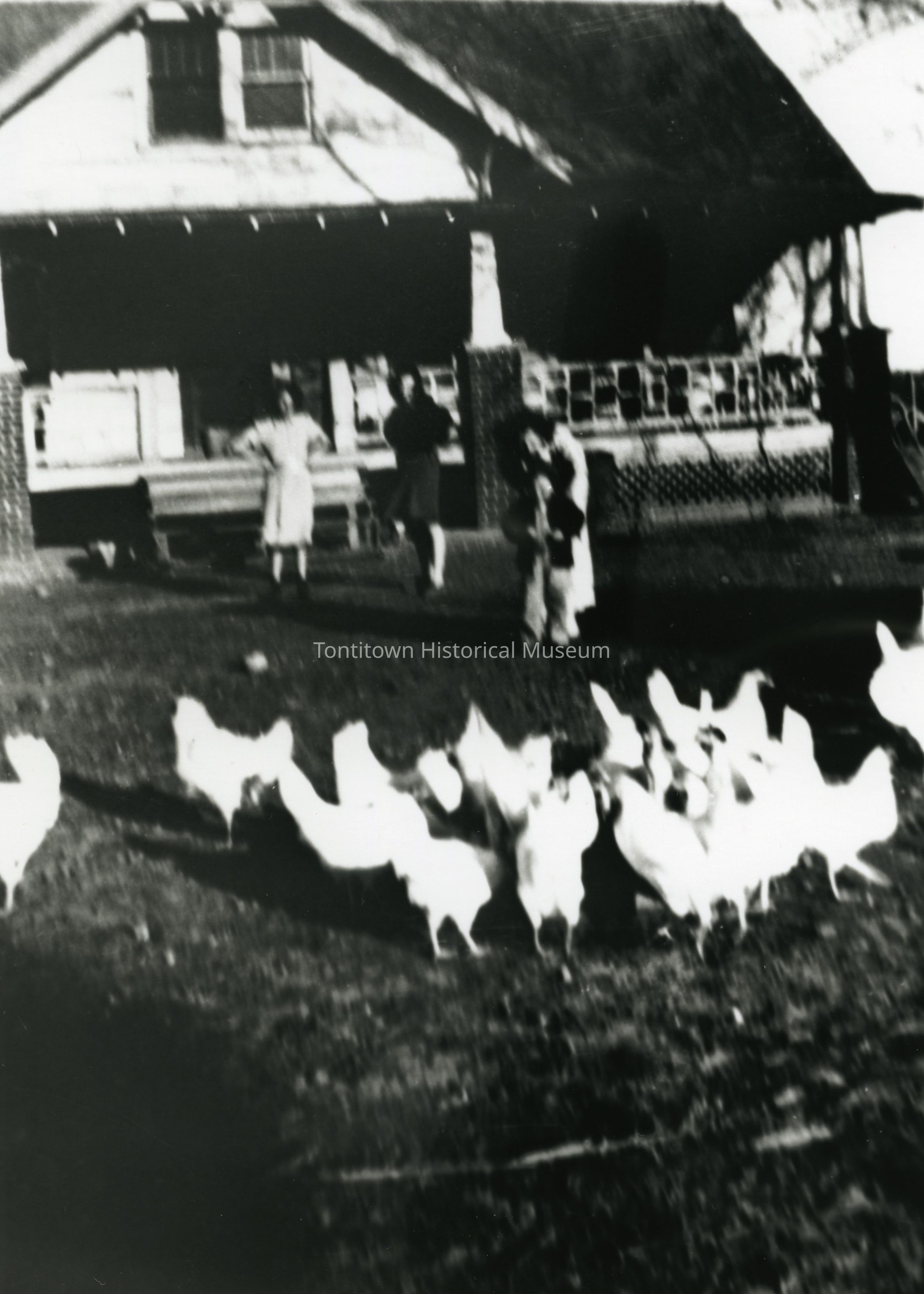 The black-and-white image depicts a scene in front of a rustic house with a porch, where a group of people, dressed in vintage clothing, stand in a relaxed pose, as numerous white chickens forage in the grassy yard, creating a lively yet serene rural setting that reflects a bygone era's simplicity and charm.