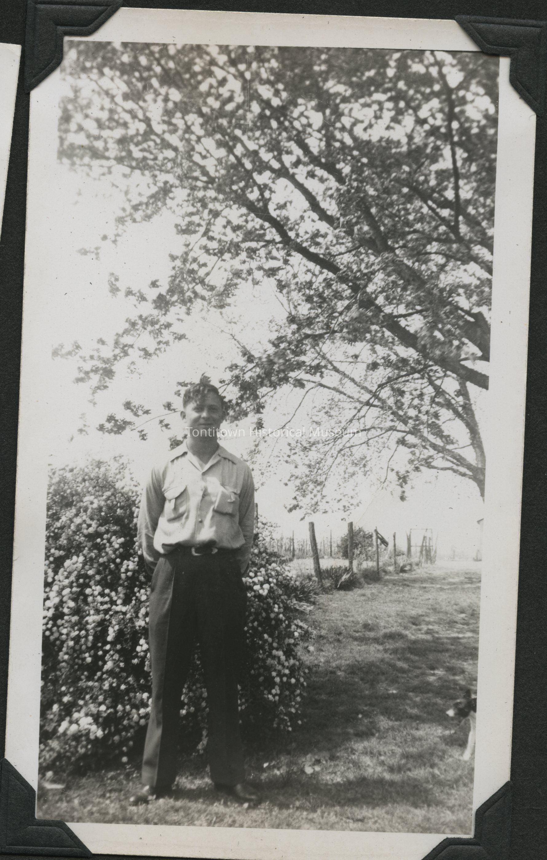 In this black-and-white photograph, a man stands in a relaxed pose with his hands behind his back, wearing a buttoned shirt and dark trousers, positioned in front of a lush, blooming bush adorned with small flowers; the backdrop showcases a sprawling landscape with an array of trees, a wooden fence running horizontally, and an open grassy area with dappled sunlight filtering through the branches.