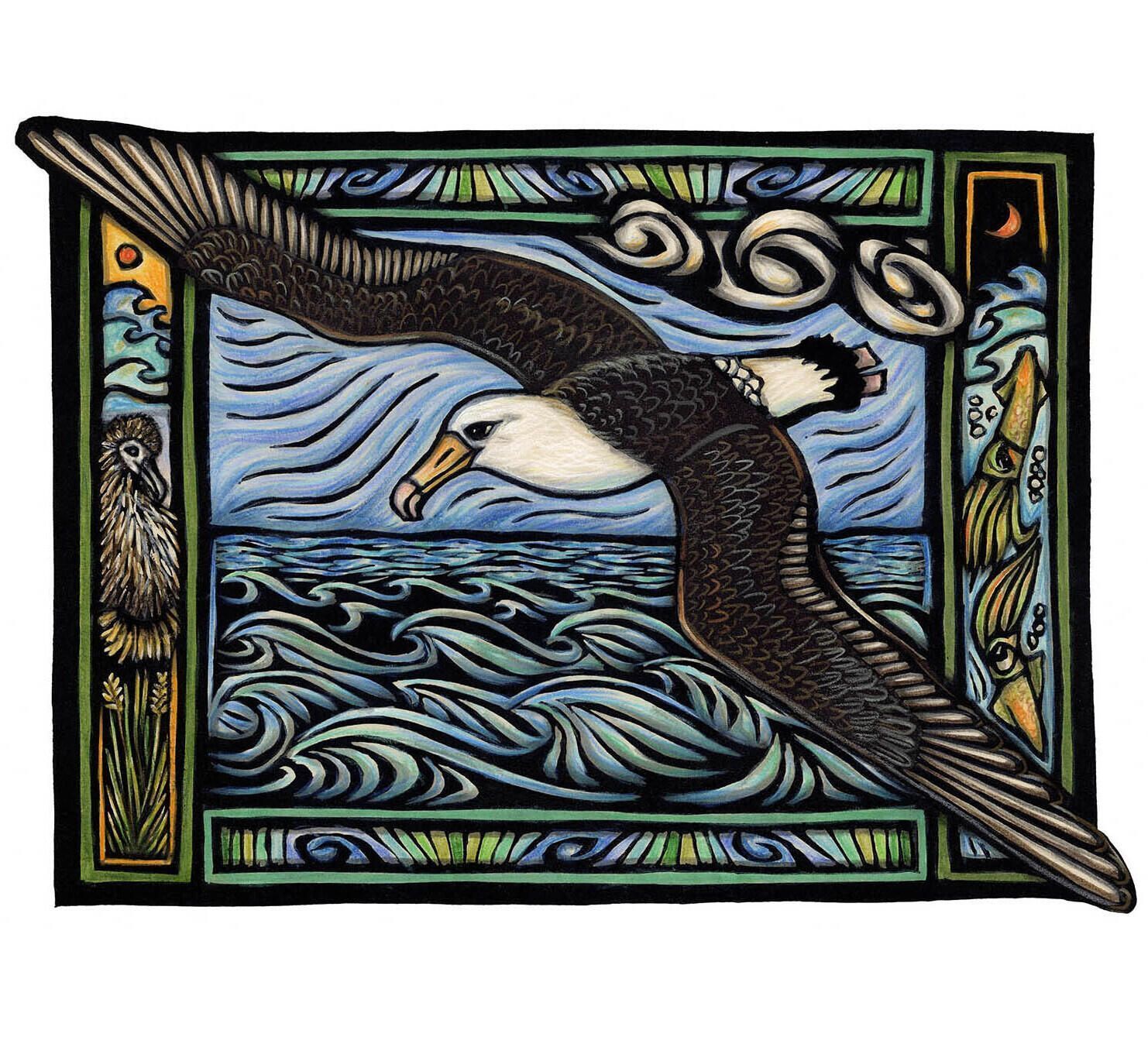 Albatross: Life on the Wind and Sea