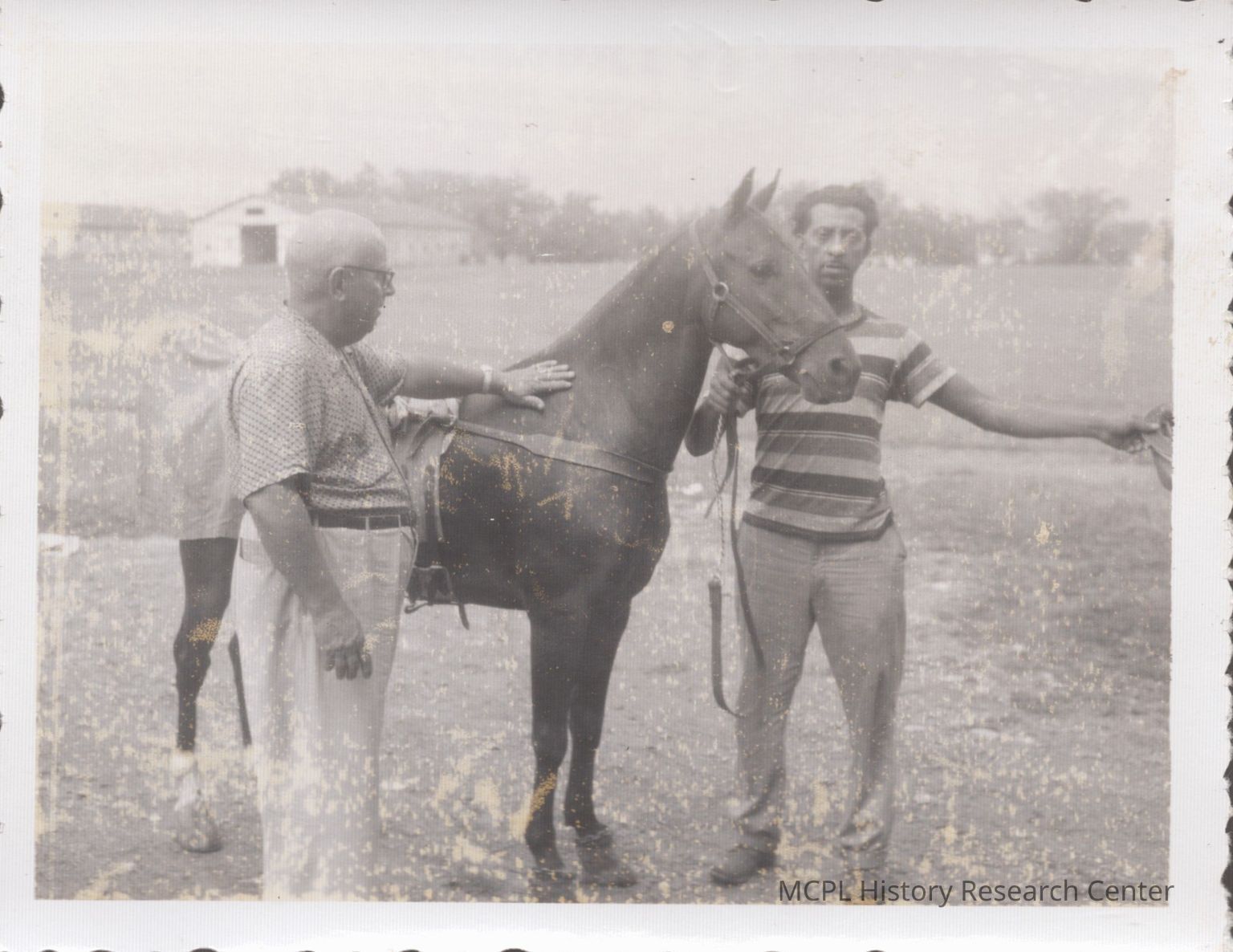 Fair & Horse Show