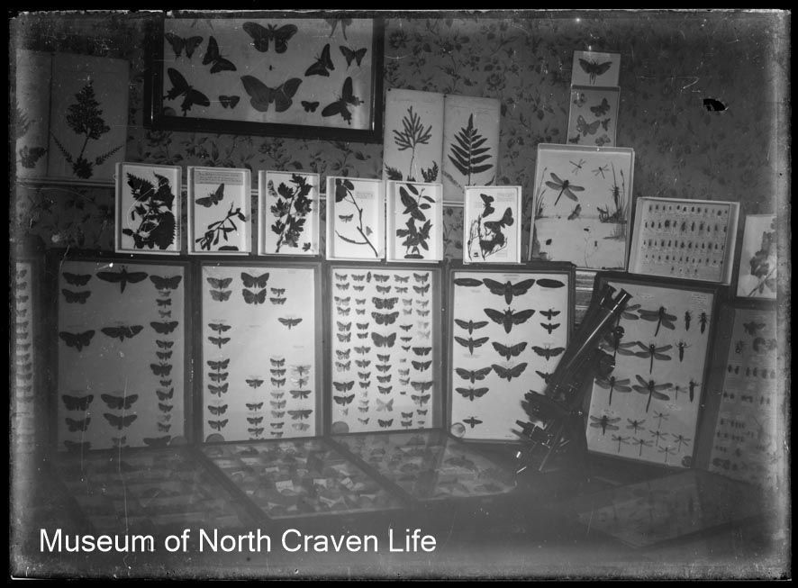 Natural History of North Craven