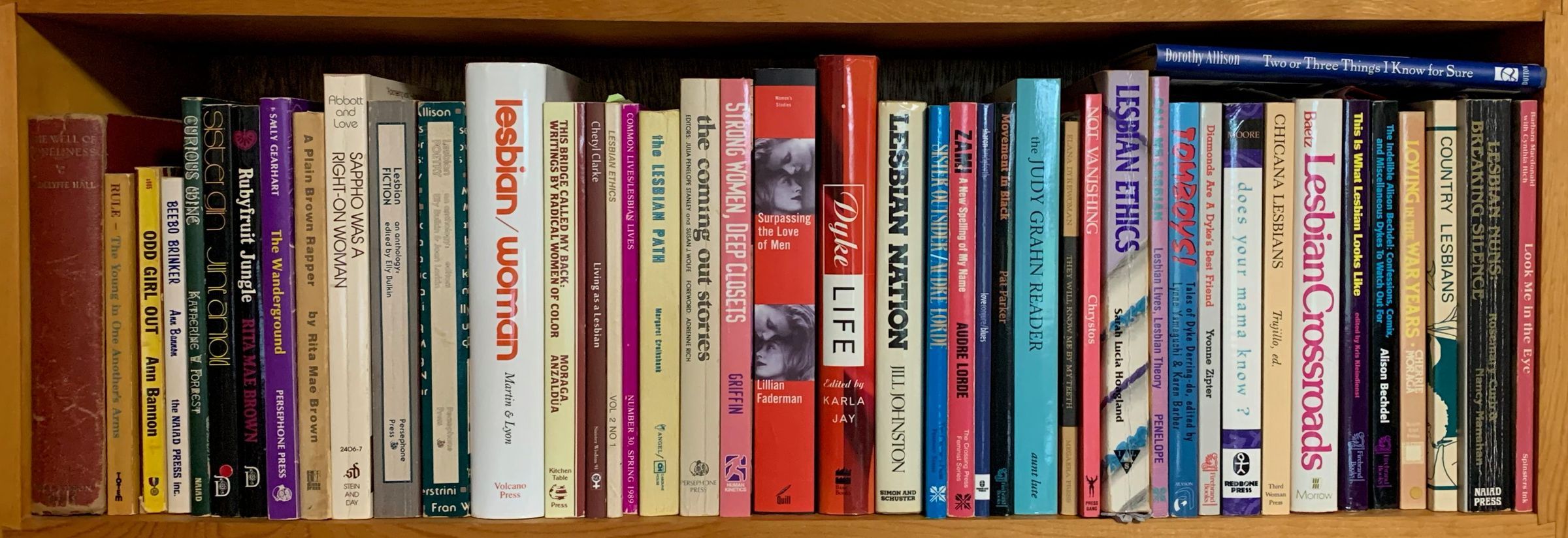 Wanderground Lesbian Archive/Library hero image