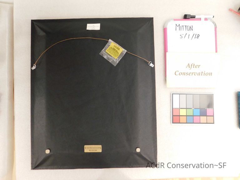 Chocolate Lab - Image 5